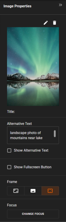 The Image Properties panel